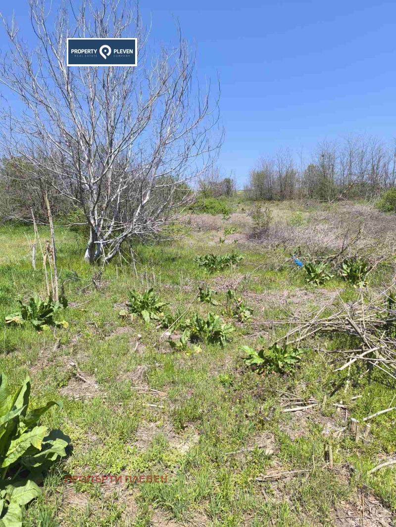For Sale  Plot region Pleven , Podem , 1124 sq.m | 51527554 - image [3]