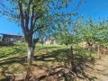 Продава КЪЩА, област Велико Търново, с. Блъсковци • 42000 € • 36064638 — Holmes.bg