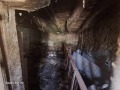 Продава КЪЩА, област Велико Търново, с. Блъсковци • 42000 € • 36064638 — Holmes.bg