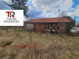 ����� ������� ������,�. ��������, ������ ������