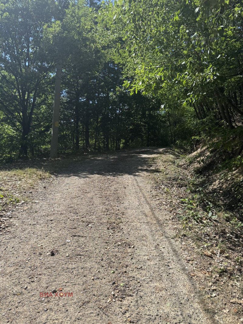 Myytävänä  Juoni Sofia , Klisura , 575 neliömetriä | 84558750 - kuva [4]