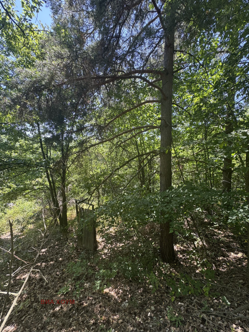 Myytävänä  Juoni Sofia , Klisura , 575 neliömetriä | 84558750 - kuva [3]