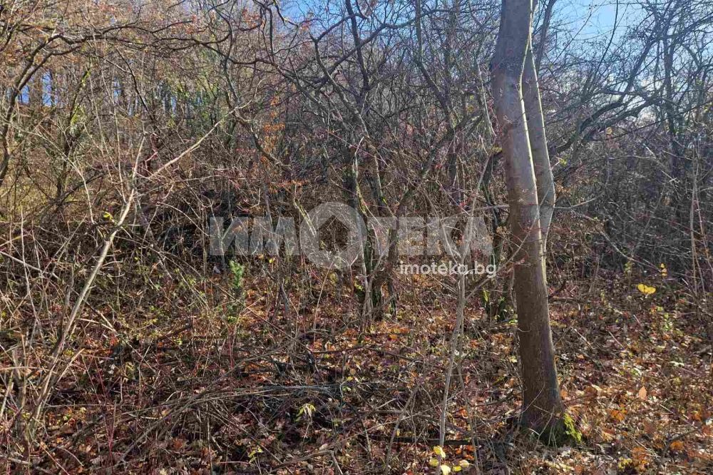 Продава ПАРЦЕЛ, гр. София, гр. Банкя, снимка 4 - Парцели - 54915539