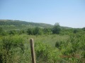 Продава ПАРЦЕЛ, с. Долна Бешовица, област Враца, снимка 1