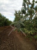Продава ПАРЦЕЛ, гр. Бургас, с. Изворище, снимка 2