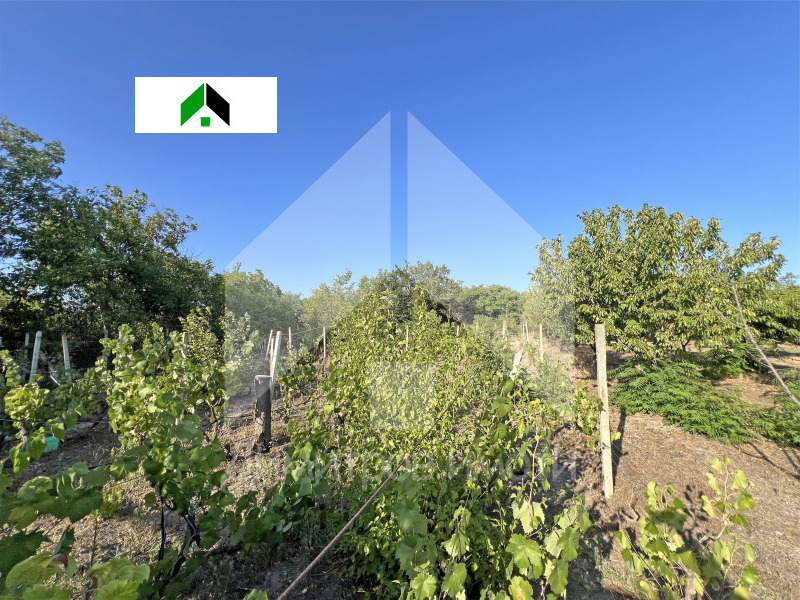 На продаж  Вілла область Шумен , Нови пазар , 76 кв.м | 85491501 - зображення [15]