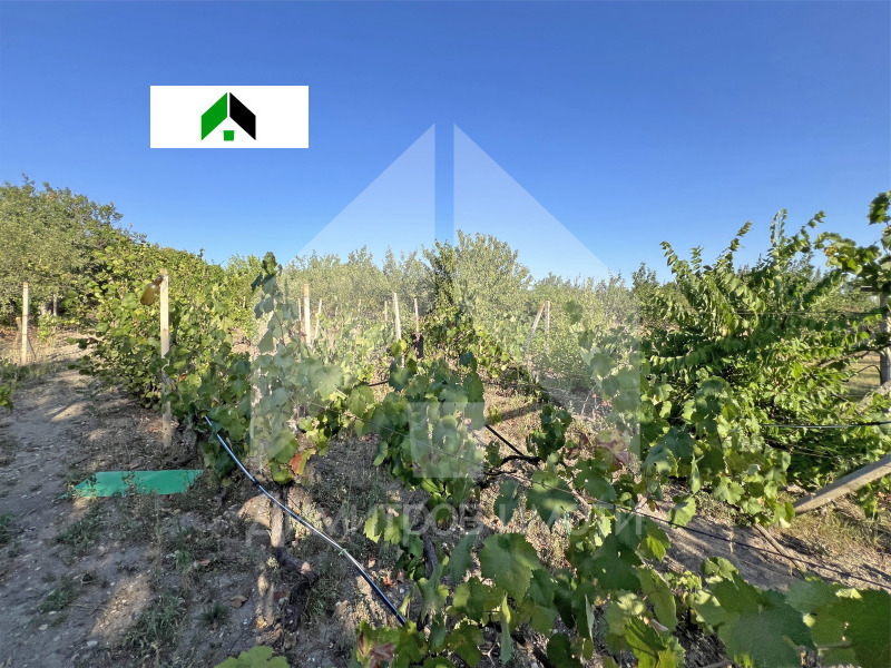 На продаж  Вілла область Шумен , Нови пазар , 76 кв.м | 85491501 - зображення [14]