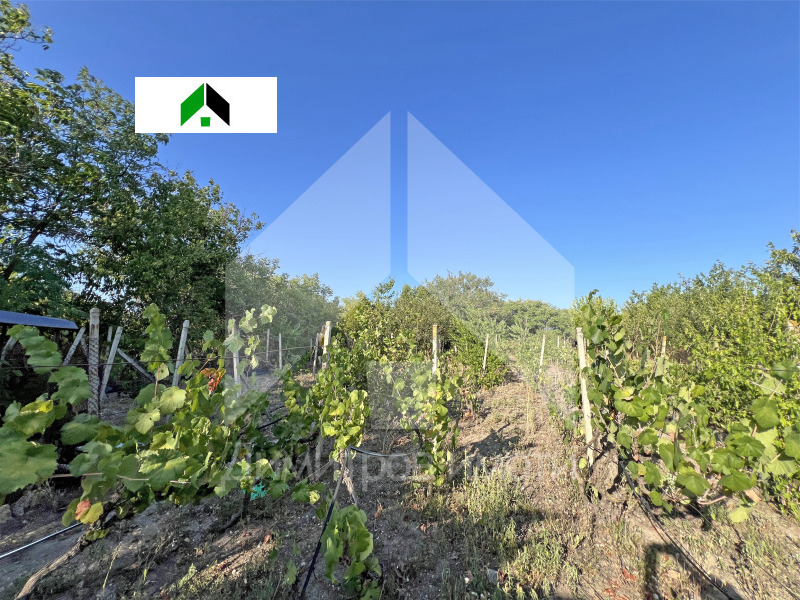 На продаж  Вілла область Шумен , Нови пазар , 76 кв.м | 85491501 - зображення [16]