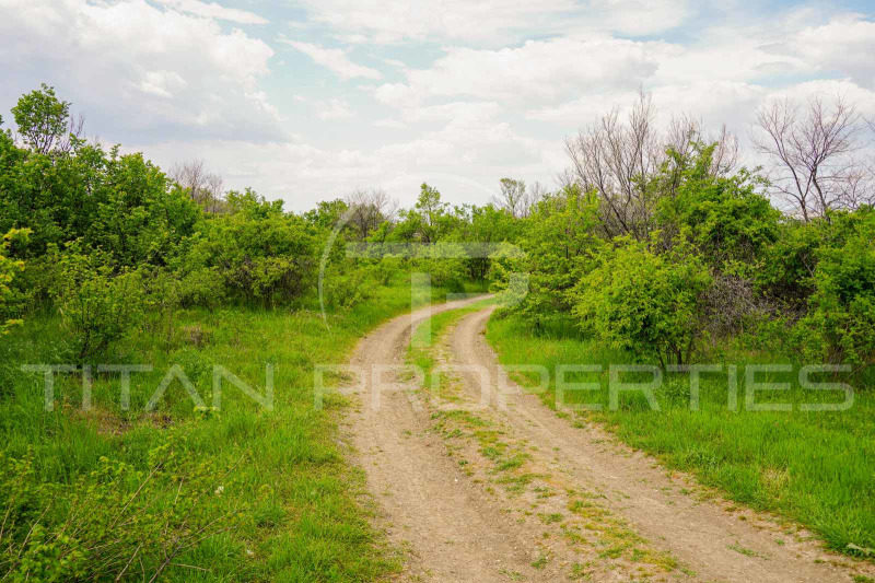 Na prodej  Spiknutí oblast Plovdiv , Belaštica , 3796 m2 | 70655708 - obraz [2]