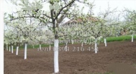 ������� ������ | Imot.bg � ����� ������ 7