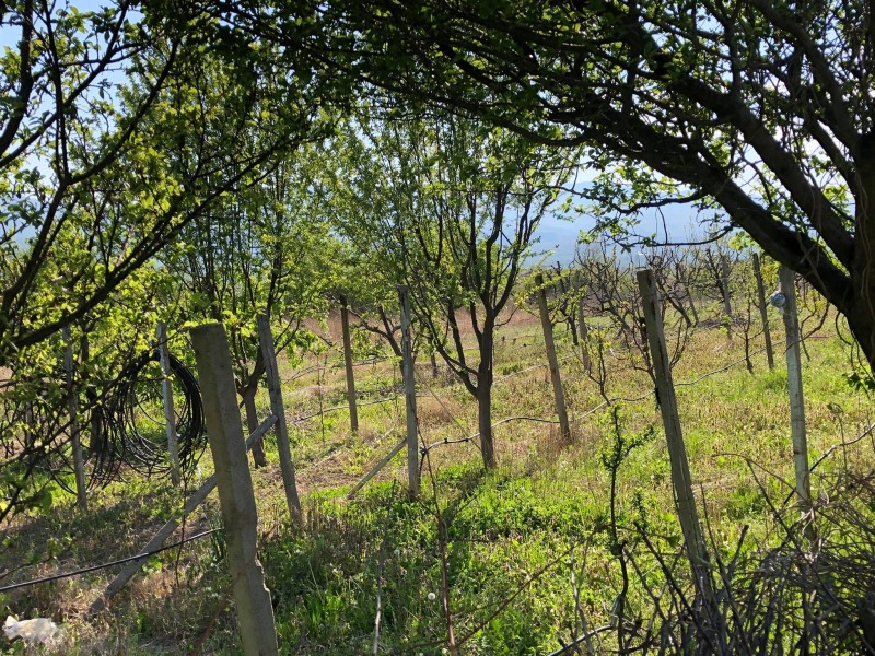 Продава ПАРЦЕЛ, с. Анево, област Пловдив, снимка 2 - Парцели - 52532417