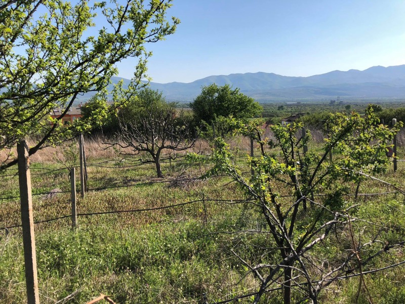 Продава ПАРЦЕЛ, с. Анево, област Пловдив, снимка 10 - Парцели - 52532417