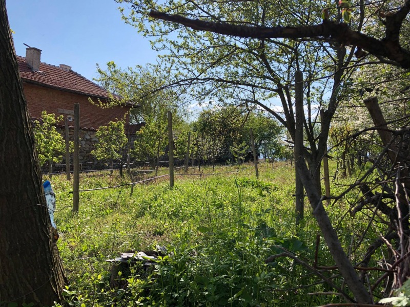 Продава ПАРЦЕЛ, с. Анево, област Пловдив, снимка 7 - Парцели - 52532417