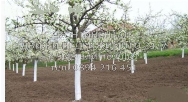 Продава ПАРЦЕЛ, с. Церетелево, област Пловдив, снимка 7 - Парцели - 56380806