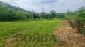 Продава КЪЩА, с. Писанец, област Русе, снимка 4