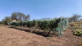 Продава КЪЩА, с. Тракия, област Стара Загора, снимка 16