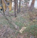 Продава  Къща град София , гр. Банкя , 368 кв.м | 34235222 - изображение [7]