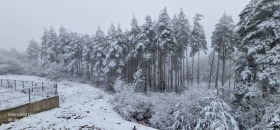 Ev Kladnica, bölge Pernik 4