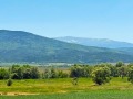 Продава ПАРЦЕЛ, с. Рельово, област София област, снимка 2