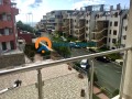 Продава 2-СТАЕН, област Бургас, гр. Свети Влас • 87000 € / 170157.21 лв. • 55346694 7