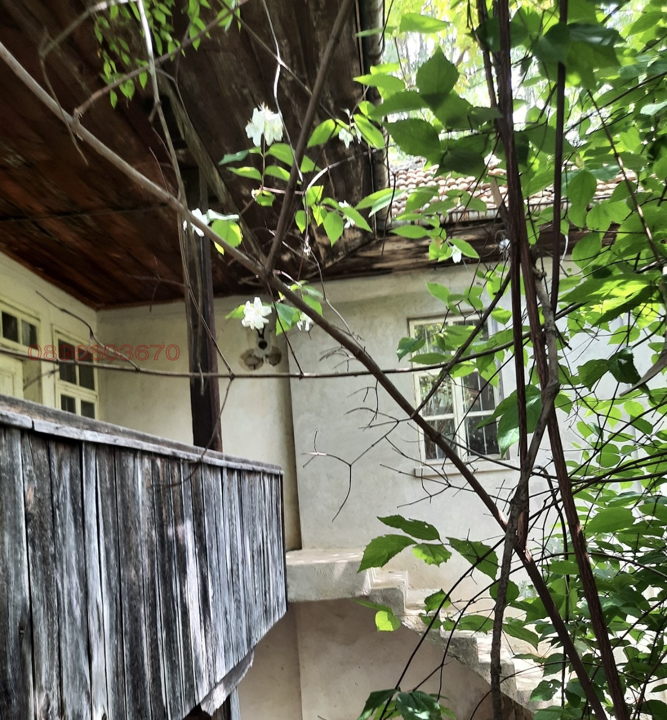 ������� ���� | Imot.bg � ����������� 5