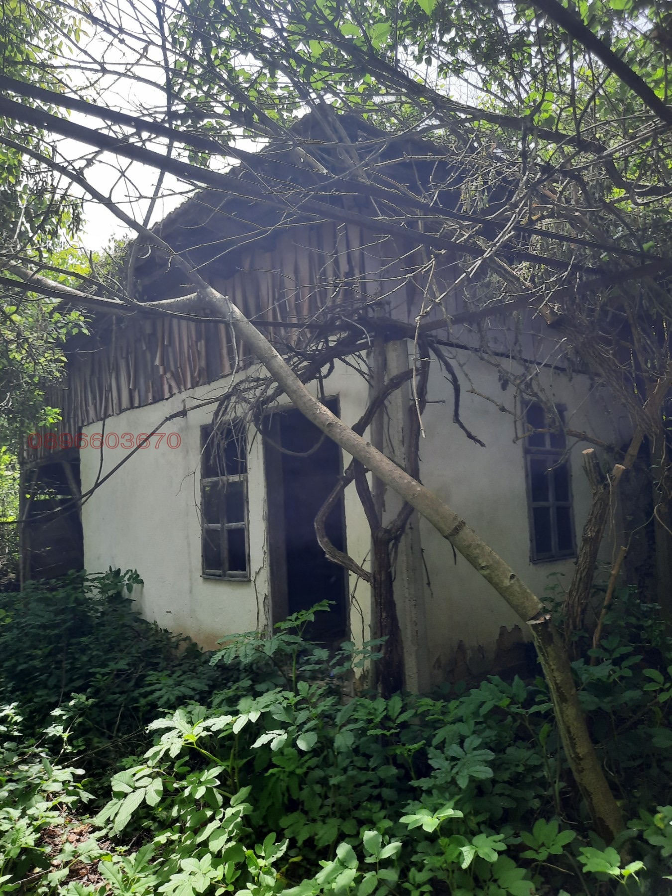 ������� ���� | Imot.bg � ����������� 7