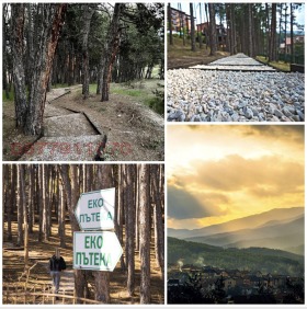 ������� 3-����� | Imot.bg � ����� ������ 17