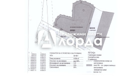 Плот Сандански, регион Благоевград 2