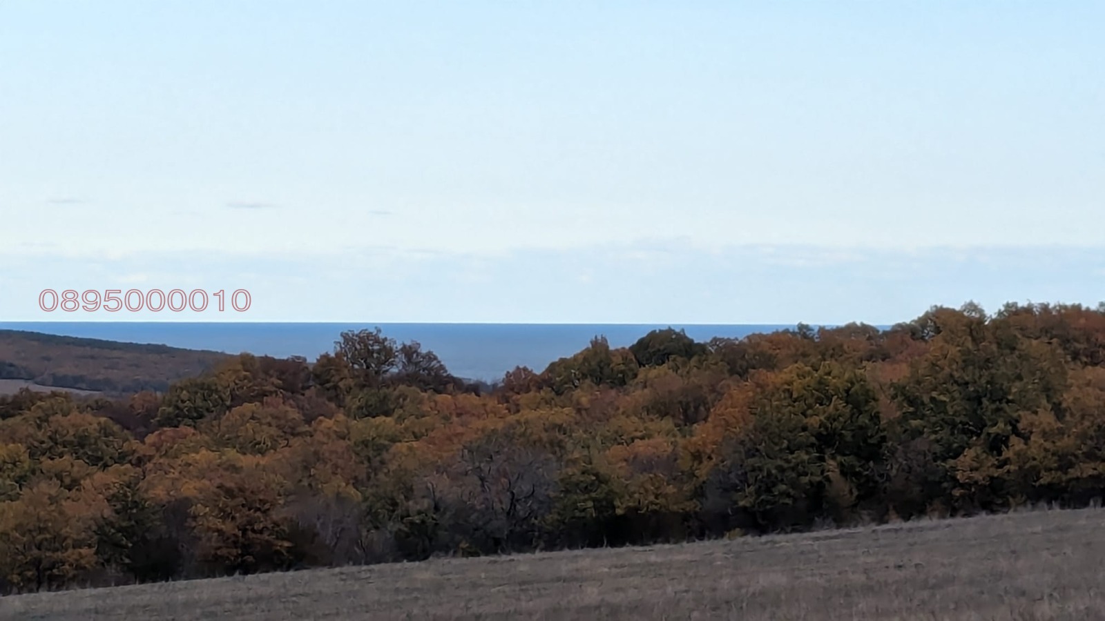 Продава ЗЕМЕДЕЛСКА ЗЕМЯ, с. Баня, област Бургас, снимка 4 - Земеделска земя - 53912342