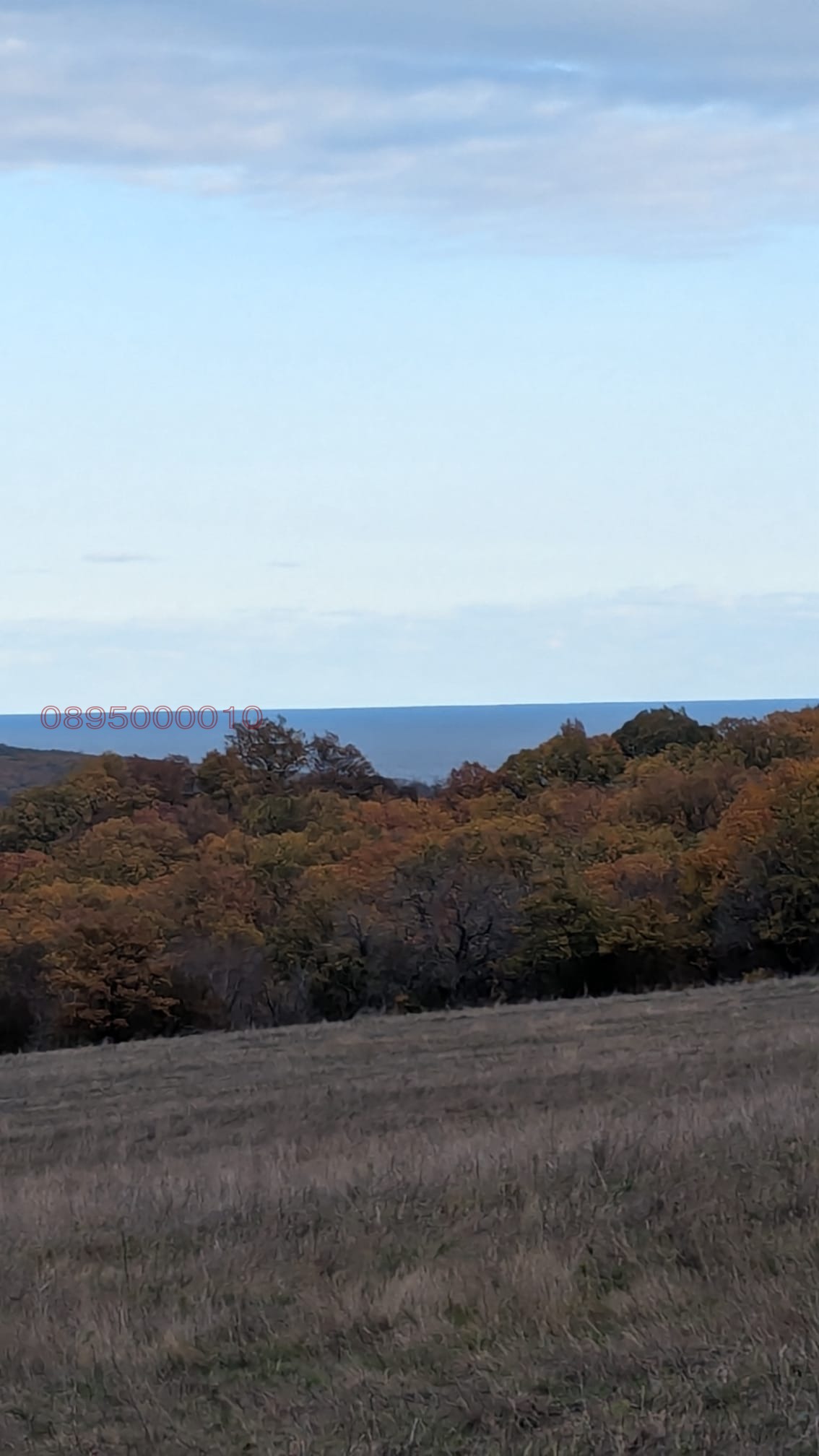 Продава ЗЕМЕДЕЛСКА ЗЕМЯ, с. Баня, област Бургас