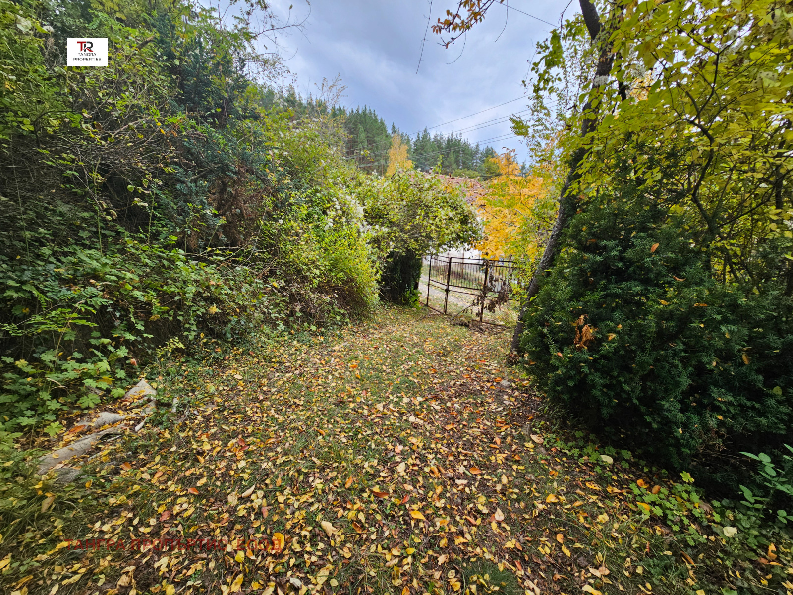 Продава ПАРЦЕЛ | Imot.bg — изображение 5