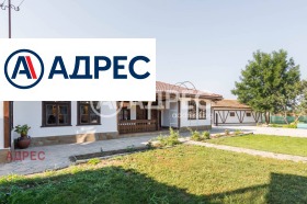 ������ ������� ����