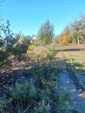 ������� ���� | Imot.bg � ����� ������ 9