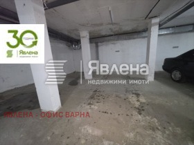 ����� ������� �����,���� �����, �������