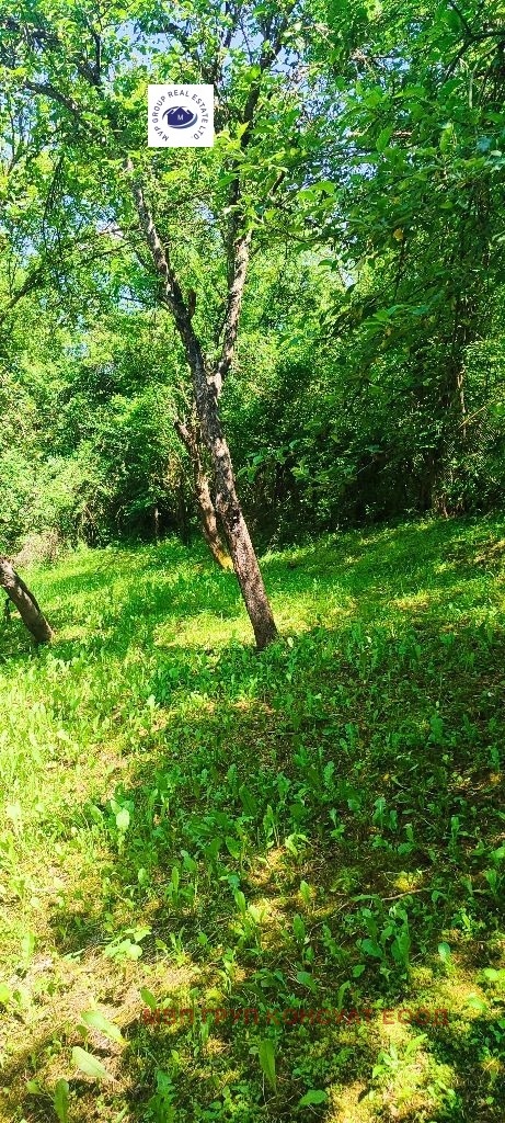 Продаја  Кућа регион Софиа , Джурово , 80 м2 | 62416347 - слика [4]