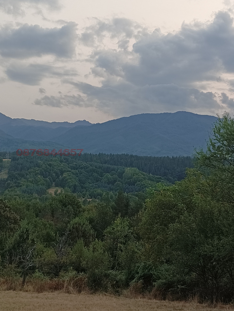 Προς πώληση  Οικόπεδο περιοχή Lovech , Απρηλτση , 2000 τ.μ | 75965246 - εικόνα [9]