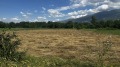 Продава ПАРЦЕЛ, с. Куртово, област Пловдив, снимка 1
