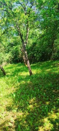 Продава КЪЩА, област София, с. Джурово • 26000 € • 56215153 — Holmes.bg