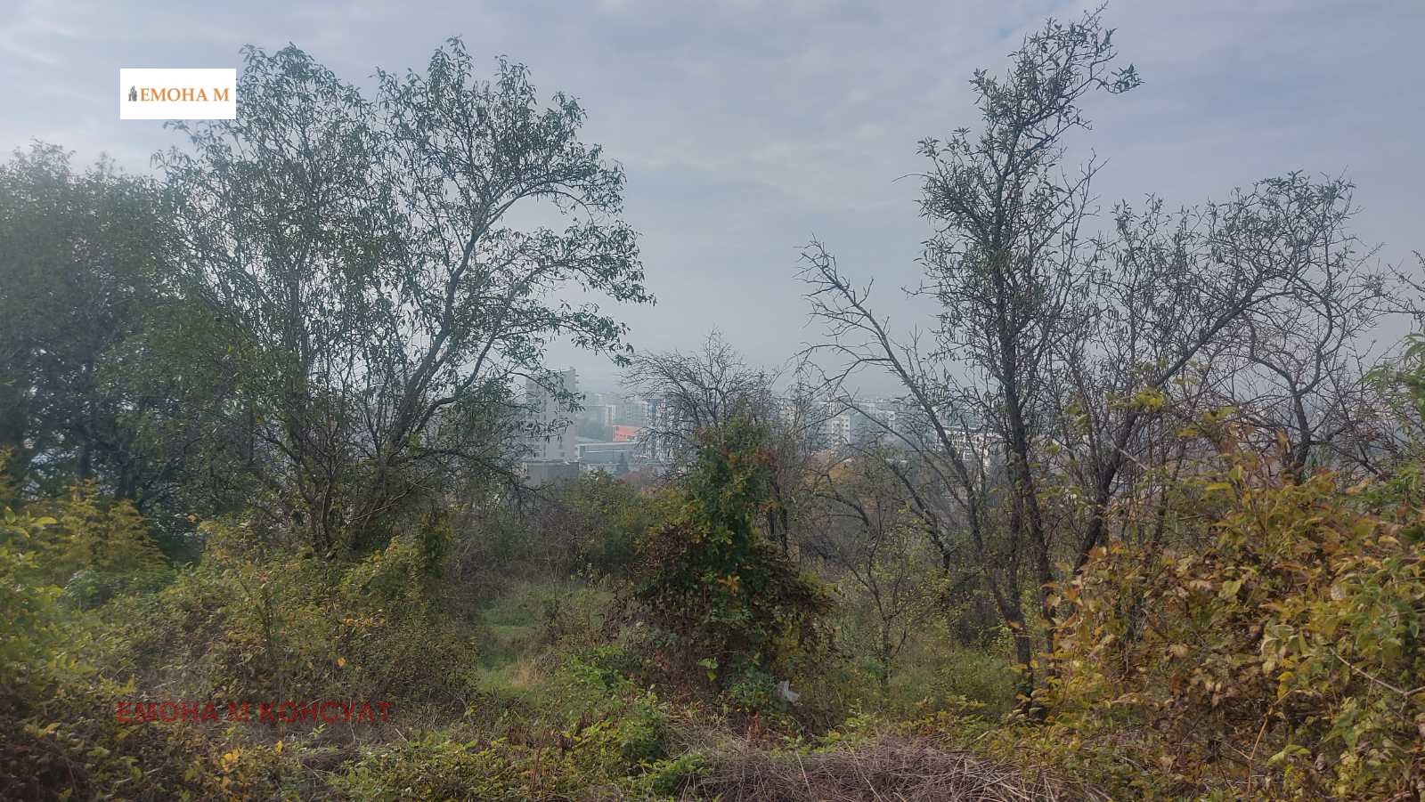 ������� ������ | Imot.bg � ����������� 4