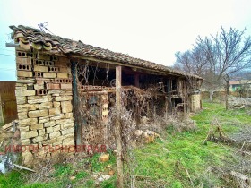 Hus Kucina, region Veliko Tarnovo 15