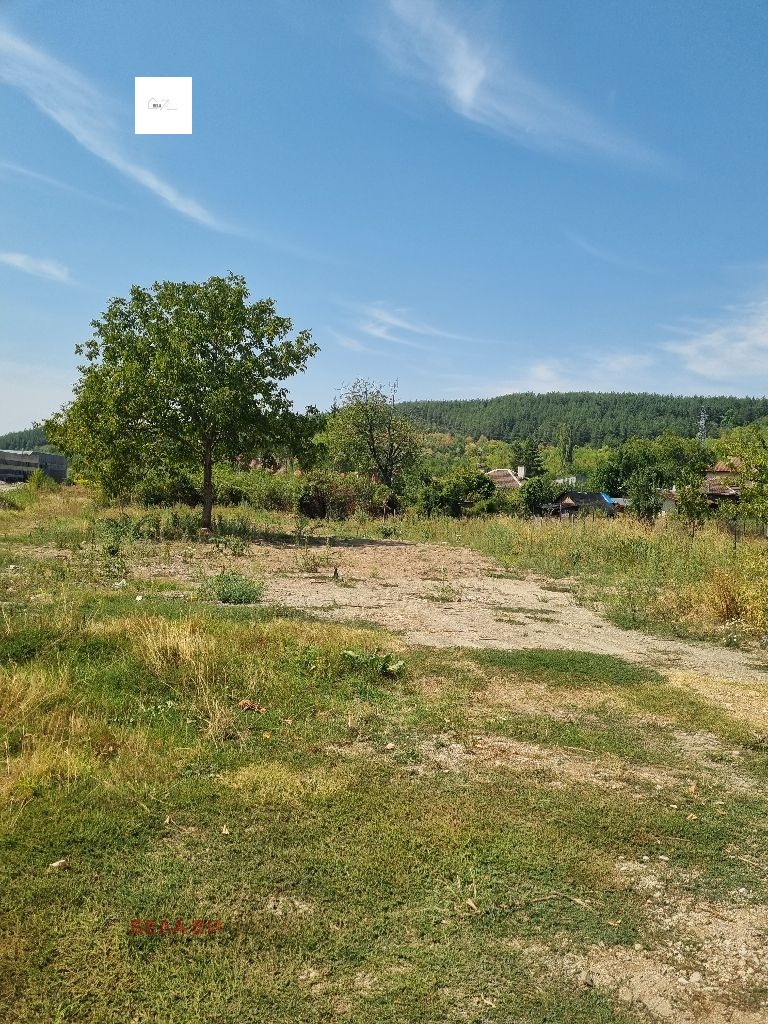 For Sale  Plot Pernik , Moshino , 734 sq.m | 16926052