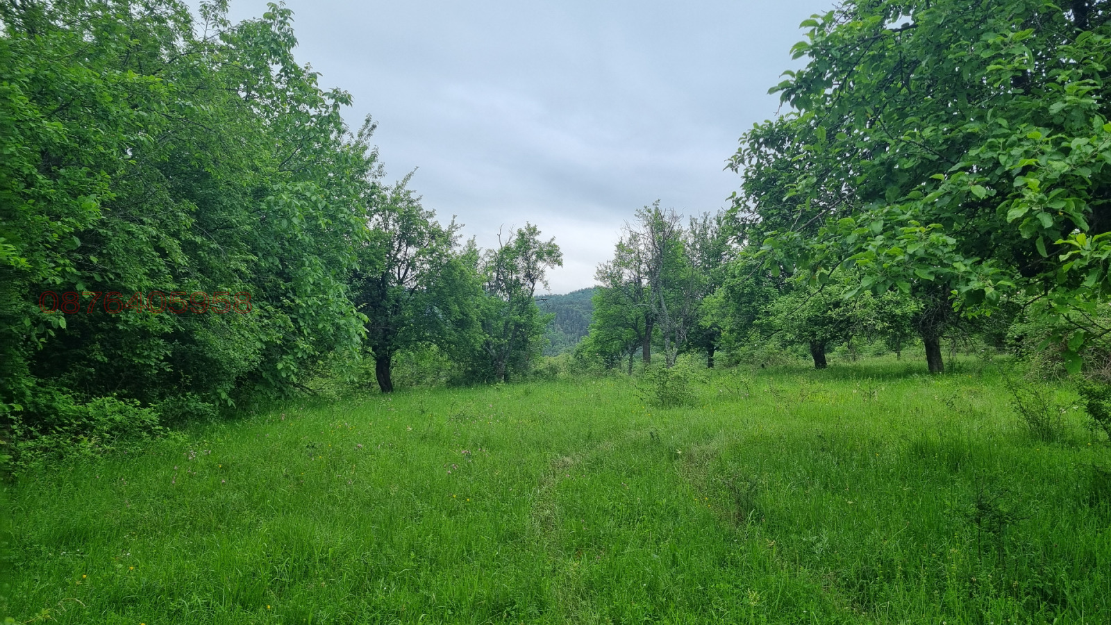 Продава КЪЩА, с. Голяма Желязна, област Ловеч, снимка 14 - Къщи - 55063249