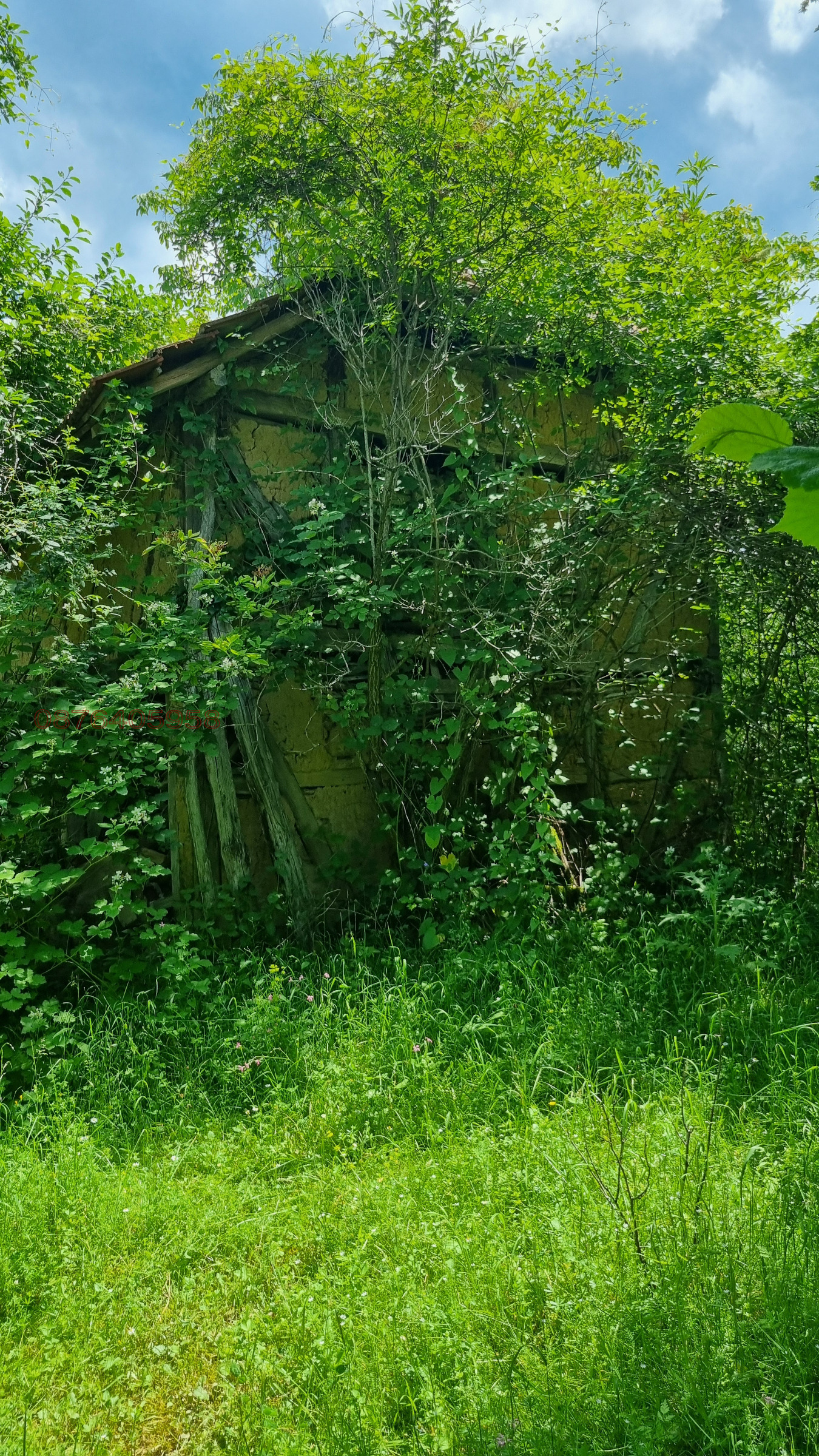 Продава КЪЩА, с. Голяма Желязна, област Ловеч, снимка 10 - Къщи - 55063249