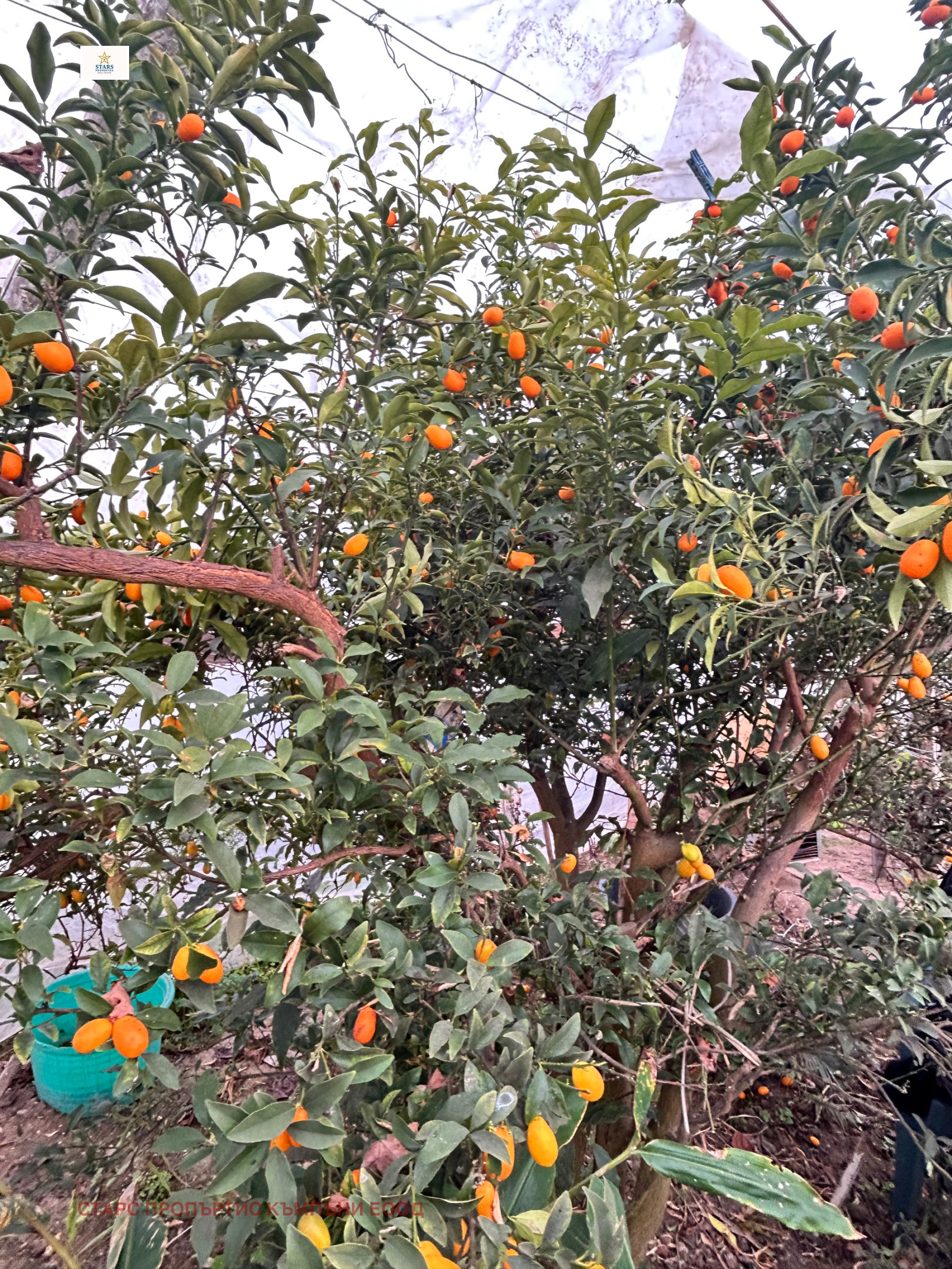 ������� ���� | Imot.bg � ����������� 11