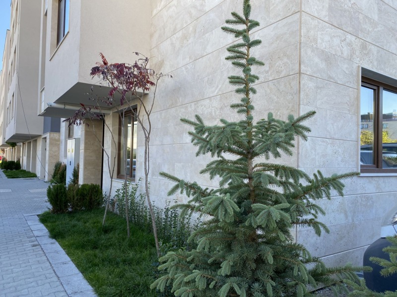 Продава 3-СТАЕН, гр. София, Манастирски ливади, снимка 11 - Апартаменти - 52233618