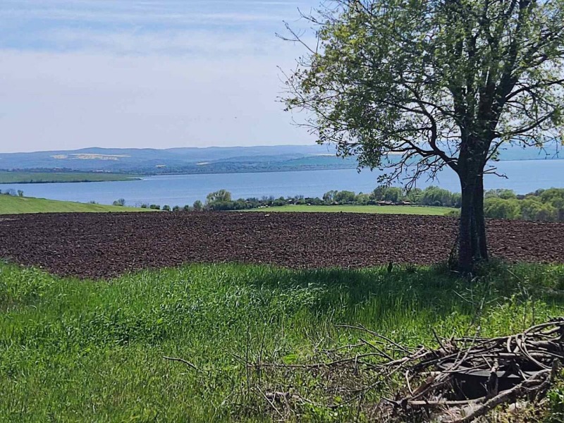 Til salg  Grund region Burgas , Malko Tarnovo , 2431 kvm | 84650297