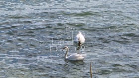 ������� 2-����� | Imot.bg � ����� ������ 13