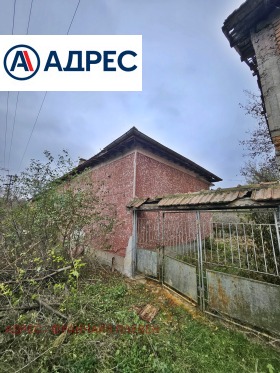 ������ ������� ����