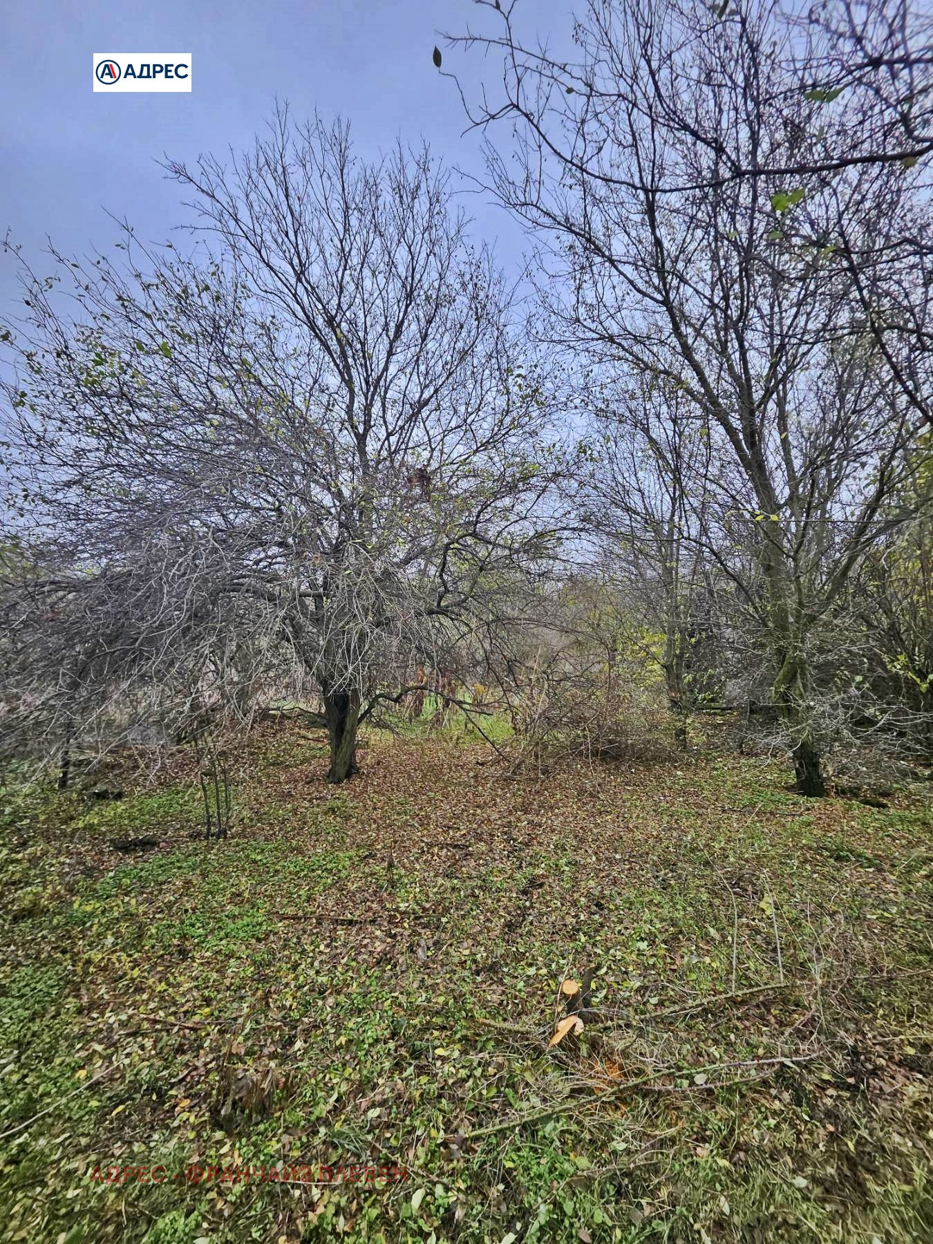 Продава КЪЩА, с. Тученица, област Плевен, снимка 4 - Къщи - 54054921