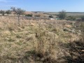Продава  Къща област Хасково , с. Свирково , 70 кв.м | 50051367 - изображение [4]
